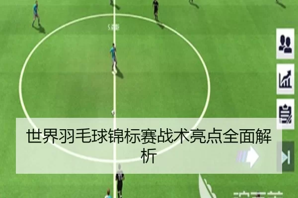 世界羽毛球锦标赛战术亮点全面解析
