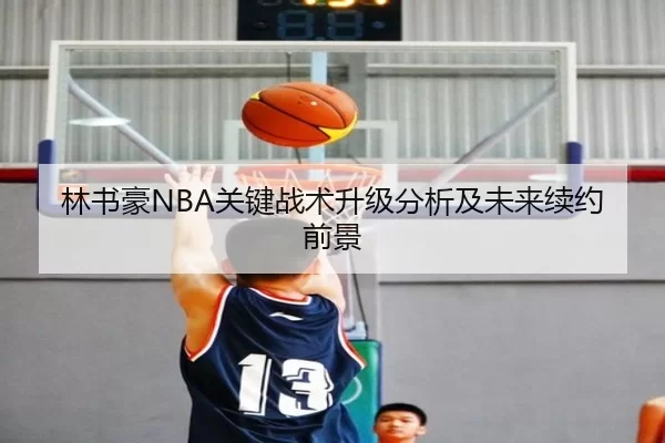 林书豪NBA关键战术升级分析及未来续约前景