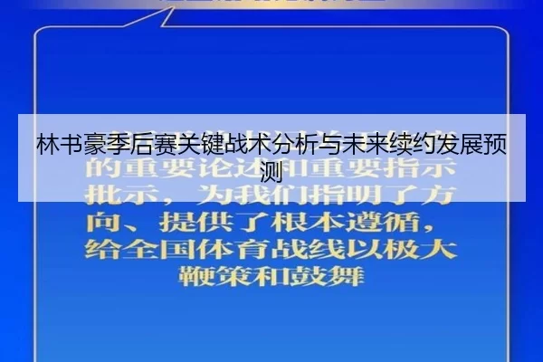林书豪季后赛关键战术分析与未来续约发展预测