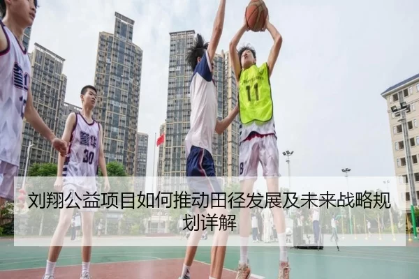 刘翔公益项目如何推动田径发展及未来战略规划详解