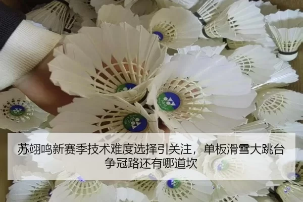 苏翊鸣新赛季技术难度选择引关注，单板滑雪大跳台争冠路还有哪道坎